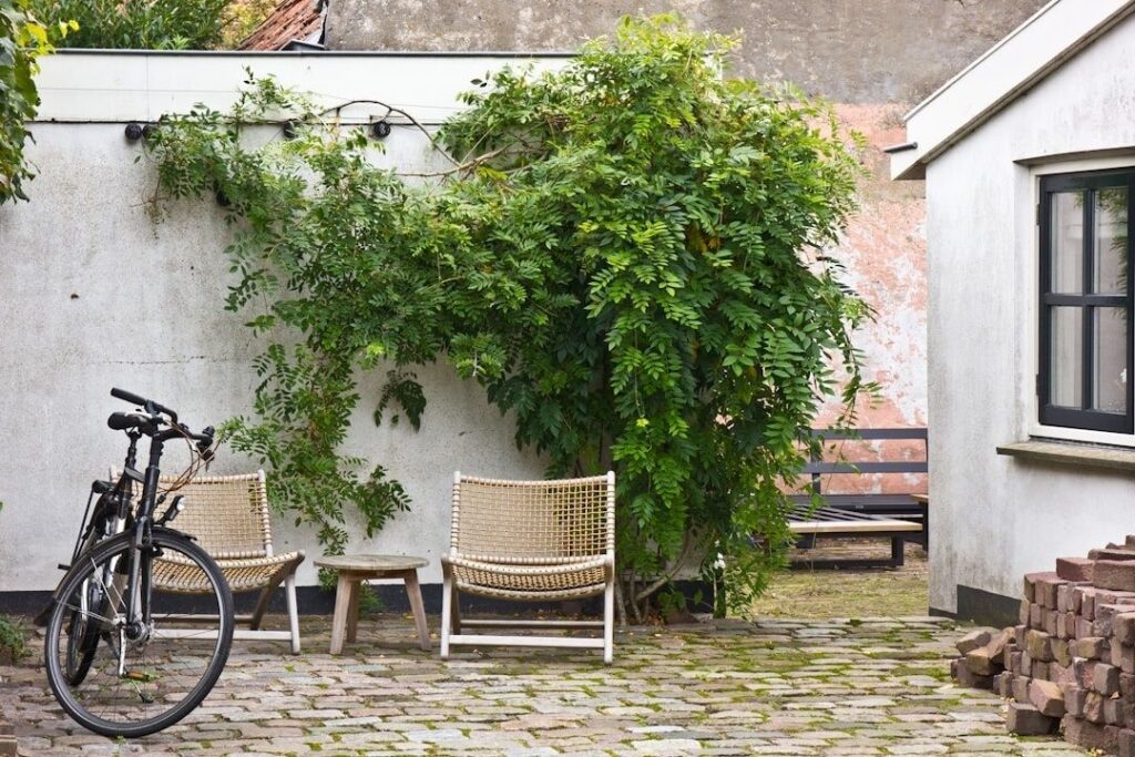 Rustige binnentuin met fietsen, stoelen en weelderige klimplanten